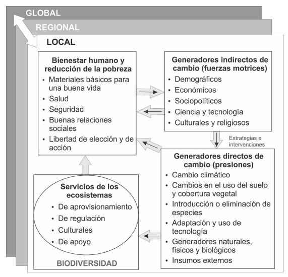 Marco conceptual de la Evaluación de los Ecosistemas del Milenio