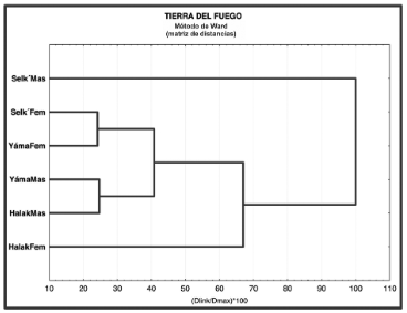 Asociacin de grupos y sexos por valores D2 y la tcnica de clasificacin de Ward. Selk: selk’nam, Yma: ymana y Halak: halakwulup. Se agregan los sufijos Mas (masculinos) y Fem (femeninos) cuando corresponde. Lambda de Wilks: 0,018 aprox. F90,426= 6,113, p<0,001
