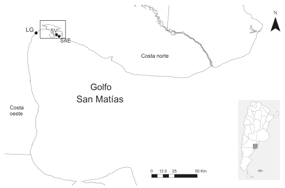 Golfo San Matas, provincia de Ro Negro. Se sealan las localidades de donde proviene la muestra. LG: Las Grutas. SV: Saco Viejo. SAE: San Antonio Este. Dentro del recuadro se ubica la baha de San Antonio.