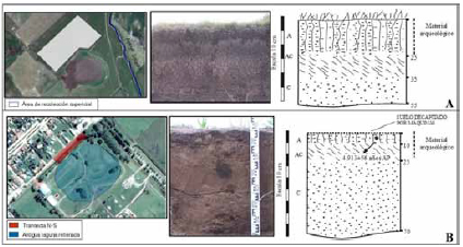 Sectores de donde provienen las muestras analizadas. A: rea muestreada, perfil y esquema estratigrfico del sitio Laguna La Redonda. B: Transecta N-S, perfil y esquema estratigrfico del sitio Laguna Muscar 2