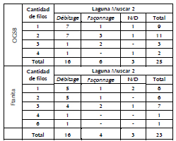 Descripcin de la cantidad de filos y origen de los soportes de los instrumentos del sitio Laguna Muscar 2.
