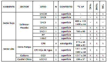 Descripcin de la muestra cermica analizada en este estudio.
