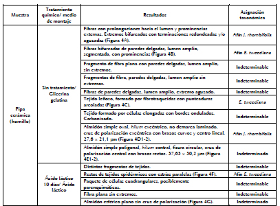 Resultados del anlisis de la pipa de Pipinas