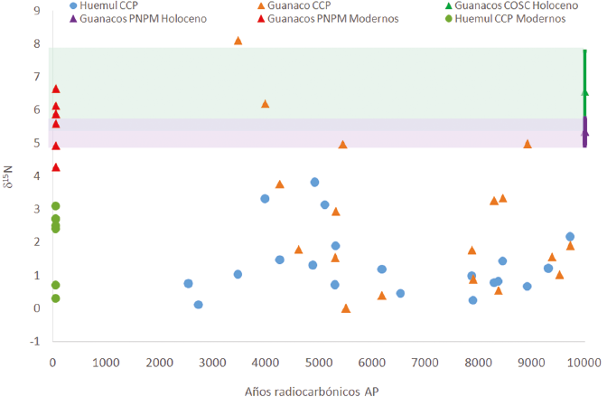 Comparaci&oacute;n entre huemules y guanacos de CCP y los guanacos de PNPM y COSC. Estos &uacute;ltimos est&aacute;n representados por una media y un desv&iacute;o est&aacute;ndar (sombreado violeta para PNPM y verde para COSC). La comparaci&oacute;n sugiere cambios a lo largo del tiempo en la dieta de los guanacos de CCP.