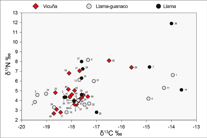 Diagrama de dispersi&oacute;n con los valores de δ13C y δ15N de la muestra (N=47).