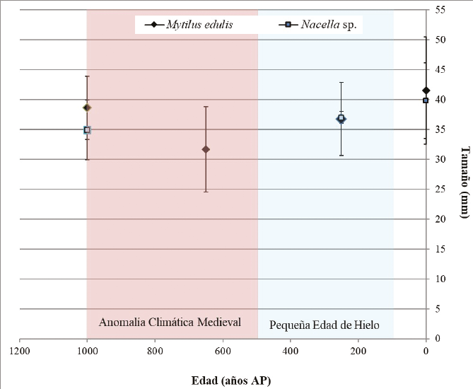 Tamaños medios de Mytilus edulis y Nacella sp en diferentes momentos del Holoceno tardío.