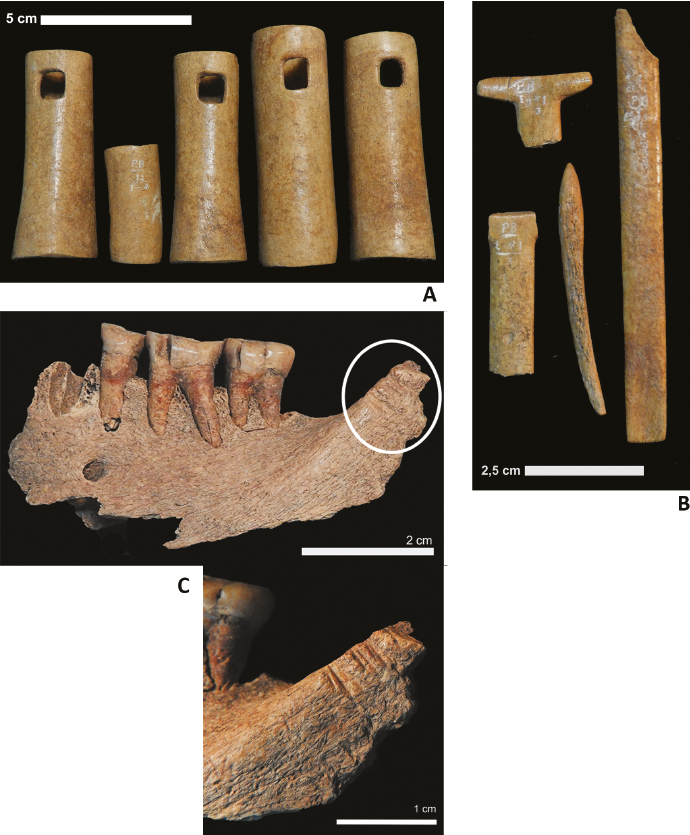 3a. Ajuar funerario asociado con el entierro n&ordm; 1 de Palo Blanco, constituido por cuatro silbatos (sensu Cigliano, 1960) de hueso. El objeto m&aacute;s peque&ntilde;o es la boquilla de uno de ellos. 3b. Ajuar funerario correspondiente al entierro n&ordm; 1 de Palo Blanco, constituido por un punz&oacute;n de hueso y tres fragmentos de, al menos, dos tembet&aacute;s. 3c. Mand&iacute;bula humana con probables huellas de corte correspondientes al sitio Palo Blanco, hallados en el dep&oacute;sito n&ordm; 25 de la Divisi&oacute;n Arqueolog&iacute;a (MLP).