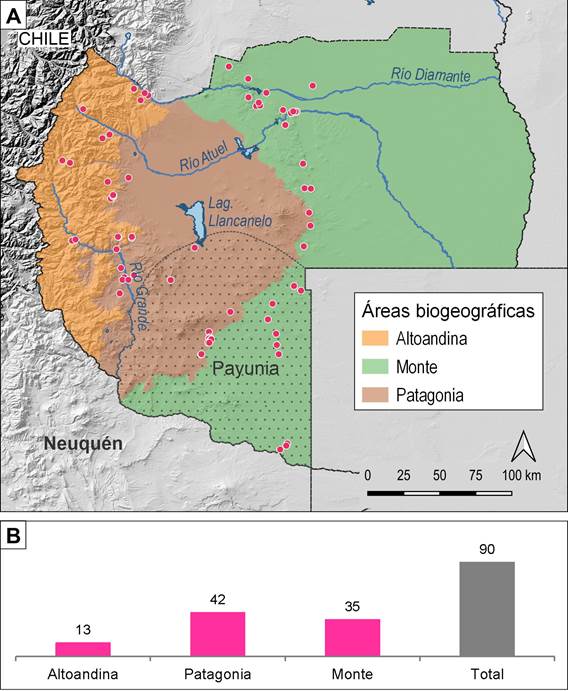 A) Sitios con arte rupestre del sur de Mendoza; B) Frecuencia de sitios con arte por área biogeográfica.