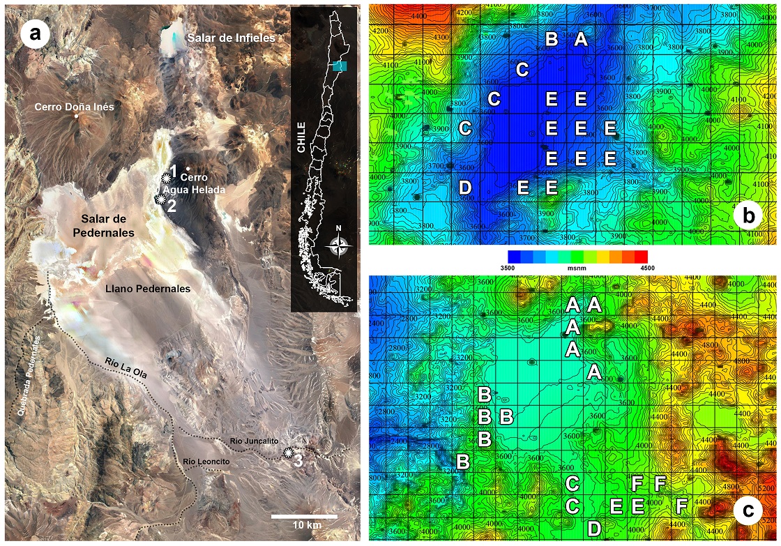 a. Ubicaci�n de los salares de Infieles y Pedernales. Los n�meros indican los sectores de muestreo geoarqueol�gico de fechados 14C; b. Cuadrantes prospectados en Infieles (tama�o de cuadrantes: 1 km2); y c. Cuadrantes prospectados en Pedernales (tama�o de cuadrantes: 5 km2).