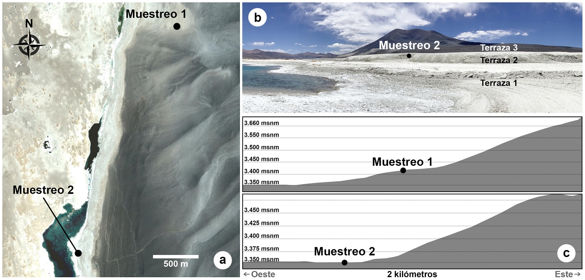 a. Imagen satelital Landsat (Google Earth) con la ubicaci�n de las �reas de muestreo geoarqueol�gico de sedimentos obtenidos en el Sector A de Pedernales; b. Vista del �rea muestreada donde se indican las terrazas identificadas en el margen oriental del salar (fotograf�a tomada por Valentina Flores-Aqueveque); y c. Perfiles de elevaci�n donde se indica la altura de la ubicaci�n de las muestras.