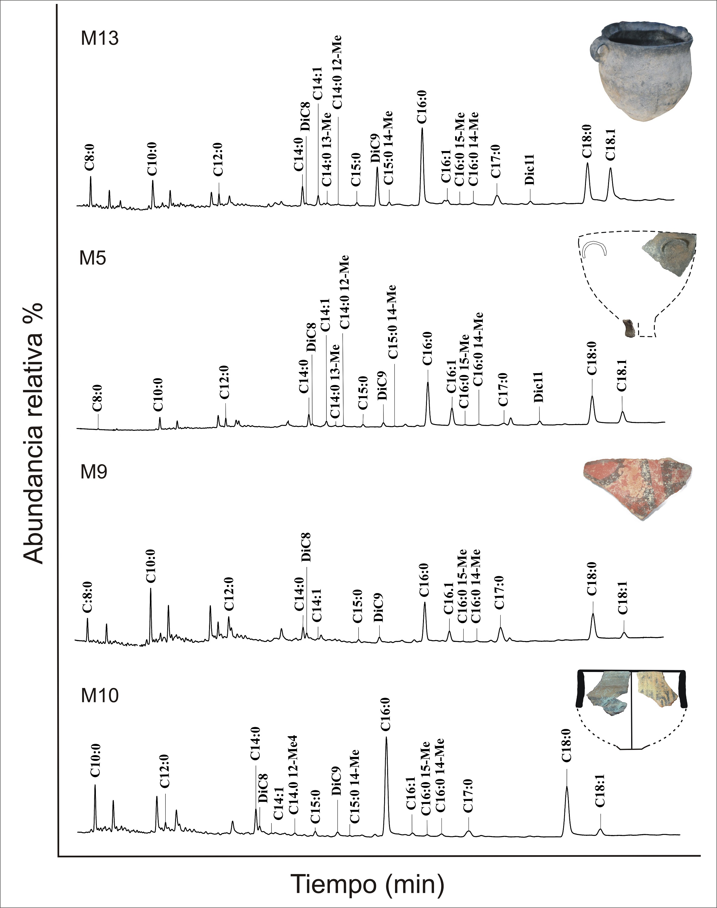 Cromatogramas de �steres met�licos de �cidos grasos (FAMEs) de tres muestras arqueol�gicas (M 9, M5 y M10) y de la olla etnogr�fica (M13). Solo se muestran algunos de los contenedores arqueol�gicos a modo de ejemplo, debido a una cuesti�n de espacio.