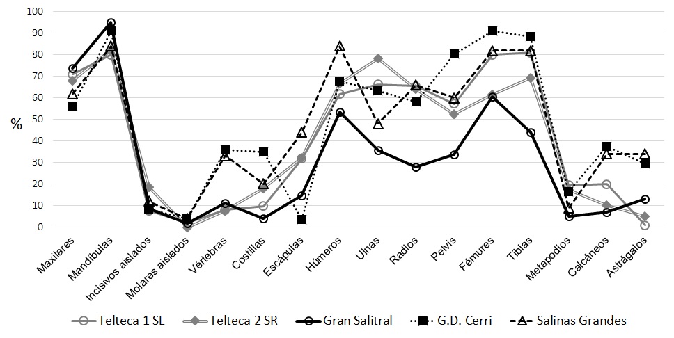 Valores de abundancia relativa de elementos esquel�ticos de conjuntos �seos y dentarios de micromam�feros recuperados en egagr�pilas actuales de Athene cunicularia en Telteca (l�neas grises) y de conjuntos de A. cunicularia previamente reportados (l�neas negras; Montalvo et al., 2020).
