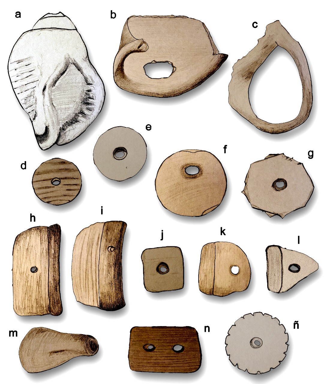 Tipologas de referencia basadas en las formas y contorno del artefacto y presencia de perforaciones. a. Artefacto entero. b-c. Artefactos de sector: pieza grande curva (b), anular (c). d-. Artefactos de fragmento: redondeados (d-g), rectangulares (h-i), cuadrangulares (j-k), triangular (l), tubular (m), con dos perforaciones (n), con contorno festoneado ().