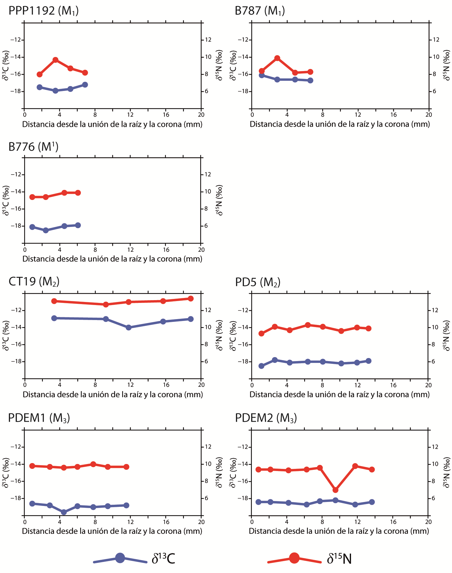 Resultados de la medicin de las composiciones isotpicas del carbono y el nitrgeno de muestras de dentina tomadas de forma secuencial de las coronas de molares correspondientes a la especie Lama glama.