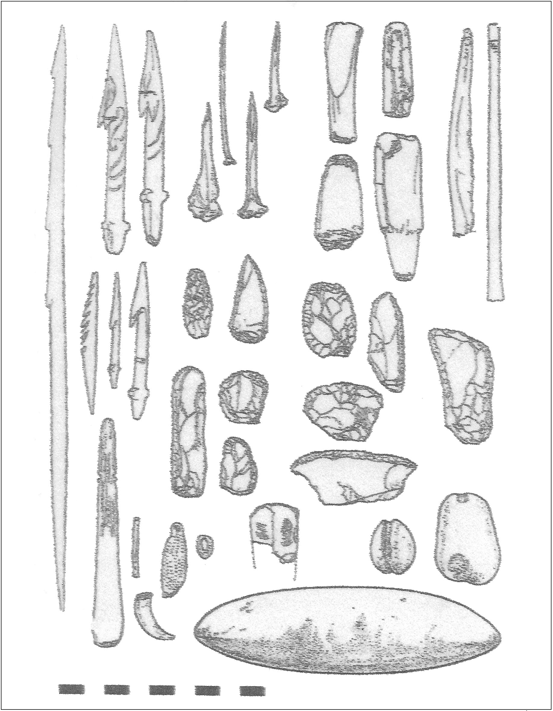 Instrumental representativo del Segundo Componente del sitio Tnel I (capas F superior, E y D). Cada unidad de la escala grfica equivale a 1 cm de esos objetos. Dibujos: Diana Alonso.
