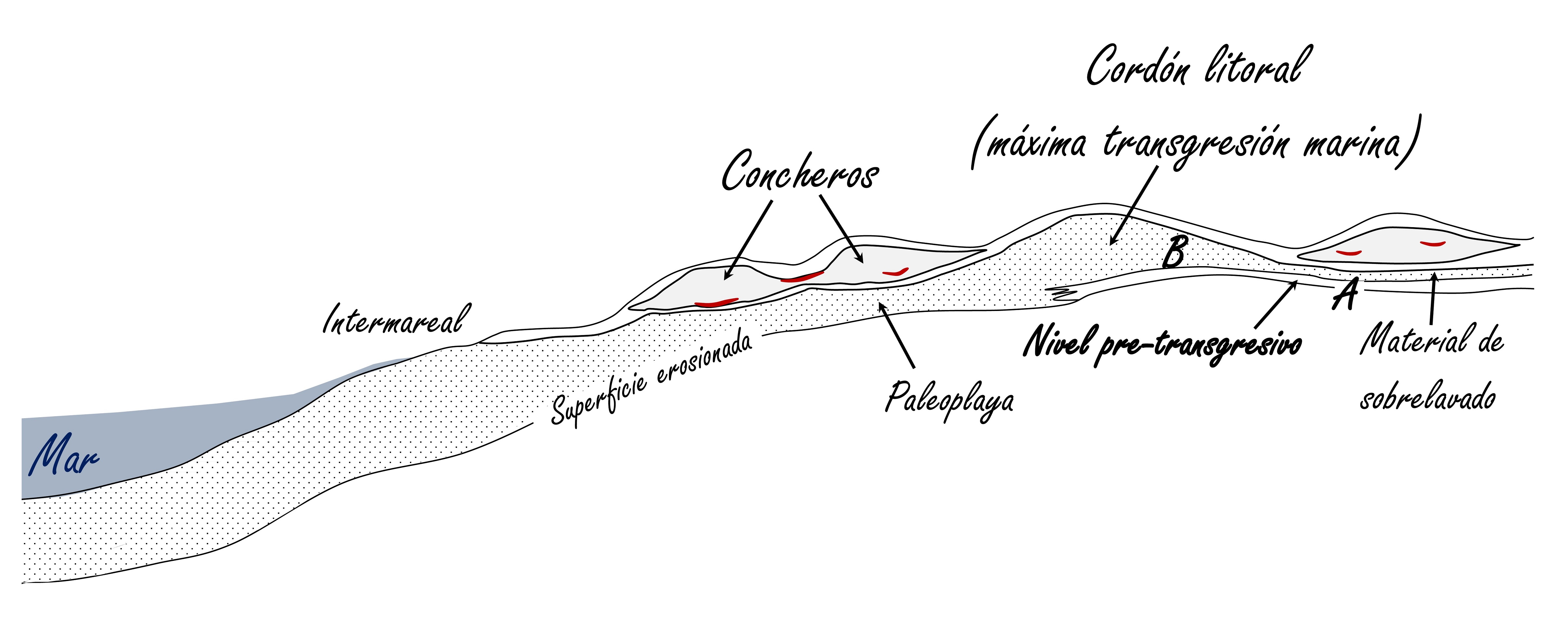 Potenciales unidades portadoras de evidencia arqueolgica pretransgresiva en ambientes costeros emergidos: A. suelo subyacente al cordn litoral correspondiente al nivel mximo de la transgresin marina y material de sobrelavado asociado a esta geoforma; B. material arqueolgico redepositado procedente de contextos arqueolgicos erosionados por el avance del nivel del mar durante el Holoceno.