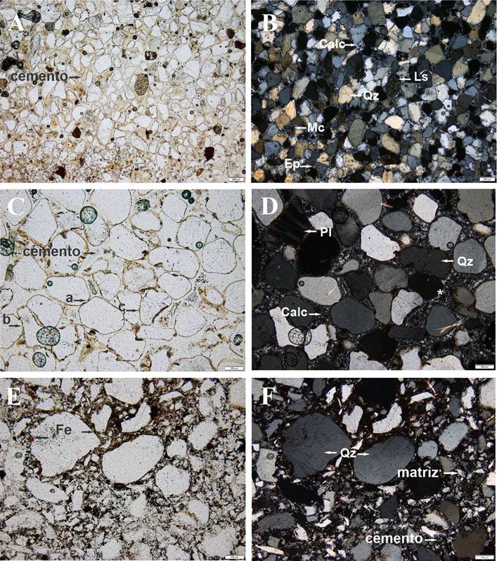 A. Arenisca cuarzosa BPP5R.28 4x sin analizador, donde se puede ver la morfolog�a de los granos de subredondeados a subangulosos y espacio ocupado por el cemento que los liga; B. Misma muestra con analizador 4x con nicoles cruzados. Se indica un grano de cuarzo (Qz), de microclino (Mic) de epidoto (Ep), un l�tico sedimentario (Ls) y la calcedonia que cementa los granos; C. Arenisca cuarzosa BPP5R5.13 10x sin analizador, se aprecia la morfolog�a de los granos de subredondeados a subangulosos, el espacio ocupado por el cemento y el tipo de contacto entre los granos del esqueleto (a- puntual; b-tangencial y c- c�ncavo-convexo). D. Misma muestra con analizador 10x, donde se se�ala un grano de plagioclasa (Pl) de cuarzo (Qz) y el cemento de calcedonia (Calc); con asterisco (*) se se�ala la calcedonia en empalizada alrededor de un grano. E. Waque cuarzoso BPP5R154 10x sin analizador, donde se puede ver la escasa selecci�n de tama�os de granos y la cementaci�n f�rrica en un sector. F. Misma muestra con analizador que indica los granos del esqueleto de cuarzo (Qz), la matriz y el cemento de calcedonia.