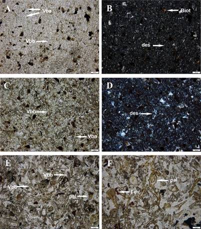 Tobas v�treas b�sicas silicificadas A. Muestra BPP5R126 aumento 10x. Sin analizador, se indican trizas de pared de burbuja fracturadas (Vba) y trizas en bastones la forma m�s frecuente (Vbb). B. La misma muestra y aumento, con nicoles cruzados. Se muestra la desvitrificaci�n del vidrio b�sico y biotita (biot). C.- Muestra BPP5R140 aumento 10x. Sin analizador se indica triza de pared de burbuja fracturada (Vba) y triza en bast�n (Vbb). D. La misma muestra y aumento, con nicoles cruzados. Se muestra la desvitrificaci�n del vidrio b�sico. E. Muestra de mano aumento 10x sin nicoles; se se�alan triza en bast�n (Vbb) y triza de pared de burbuja fracturada (Vba) y palagonita (pal). F. Detalle de la misma muestra 40x sin analizador, donde se ve con mayor detalle la alteraci�n palagon�tica alrededor de las trizas (pal) y motas de hematita (Fe).
