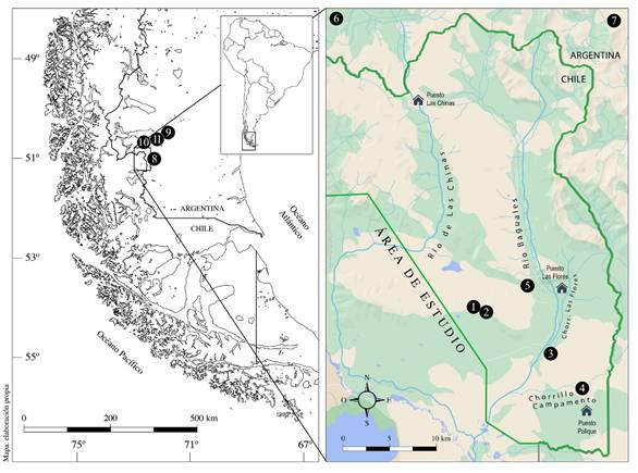 Ubicación del área de estudio y sitios arqueológicos mencionados en el trabajo. 1) Cerro Guido 1; 2) Cerro Guido 2; 3) Cerro Guido 3; 4) Cerro Guido 4; 5) Puesto Leona 1; 6) Chorrillo Malo 2; 7) Cerro Verlika 1; 8) Cerro León 3; 9) Río Bote 1; 10) Huyliche 1; 11) Cueva Walichu.