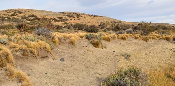 Sitio Mesra 1, chorrillo las Flores. Vista Sur.