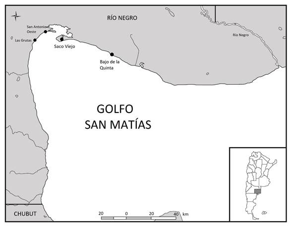 Costa rionegrina del golfo San Mat�as. Se se�alan las localidades de Saco Viejo y Bajo de la Quinta, de las cuales proviene la muestra analizada en este trabajo.