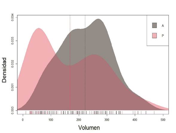 Estimaci�n de densidad para el volumen de las piezas con y sin surco. Las l�neas punteadas indican la media de las piezas con surco (rojo) y sin surco (gris). A: piezas sin surco. P: piezas con surco.