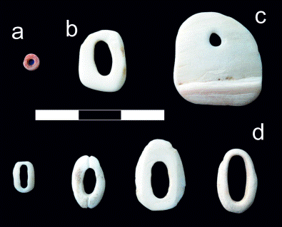 Cuentas analizadas: a) cuenta circular de Alero del Paisano Desconocido; b) cuenta de Fissurella sp. procedente de M�dano Margen Norte; c) cuenta de Megalobulimus sp. procedente de Ea. N�daros; d) cuentas de Fissurella sp. procedentes del ca�ad�n Mack Aike. De izquierda a derecha: Mack Aike 15, Mack Aike 3, Mack Aike 10 y Chorrillo Grande 1.3. Escala gr�fica: 1 cm.
