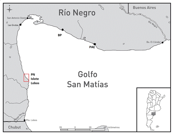 Mapa con ubicaci�n del Parque Nacional Islote Lobos y de las localidades arqueol�gicas Bajada de los Pescadores (BP) y Paesani (PAE) mencionadas en este trabajo.