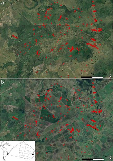 Distribuci�n de mont�culos (en rojo) en el �rea de estudio y su contexto ambiental en dos temporalidades distintas que denota el incremento de campos cultivados y canalizaciones asociadas. a) Imagen satelital de 1984; b) imagen satelital de 2023. Ambas im�genes de Google (Landstat &ndash; Copernicus).