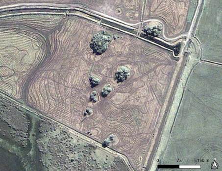 Imagen satelital del 2007 (Google) del conjunto de estructuras monticulares Jaula del Tigre. N�tese el impacto originado por el cultivo de arroz, as� como los canales que cortan el conjunto y alguna de sus estructuras.