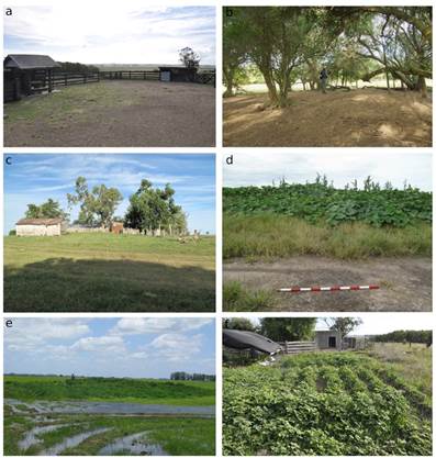 Documentaci�n de impactos sobre mont�culos. a) Construcci�n de un corral y p�rdida de cobertura vegetal superficial por la presencia de ganado; b) superficie del mont�culo con p�rdida de cobertura vegetal y erosi�n por pisoteo del ganado; c) construcciones antr�picas modernas (casa y cobertizos) aprovechando emplazamiento prominente; d) y e) mont�culos en medio de arrozales con p�rdidas de suelo alrededor y utilizados como huertos.
