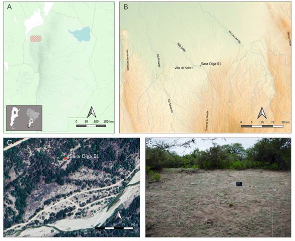 A: ubicaci�n del �rea de estudio en la provincia de C�rdoba. B: ubicaci�n del Sitio Sara Olga 1. C: imagen satelital con la ubicaci�n del sitio. D: sitio antes de comenzar la excavaci�n. 
