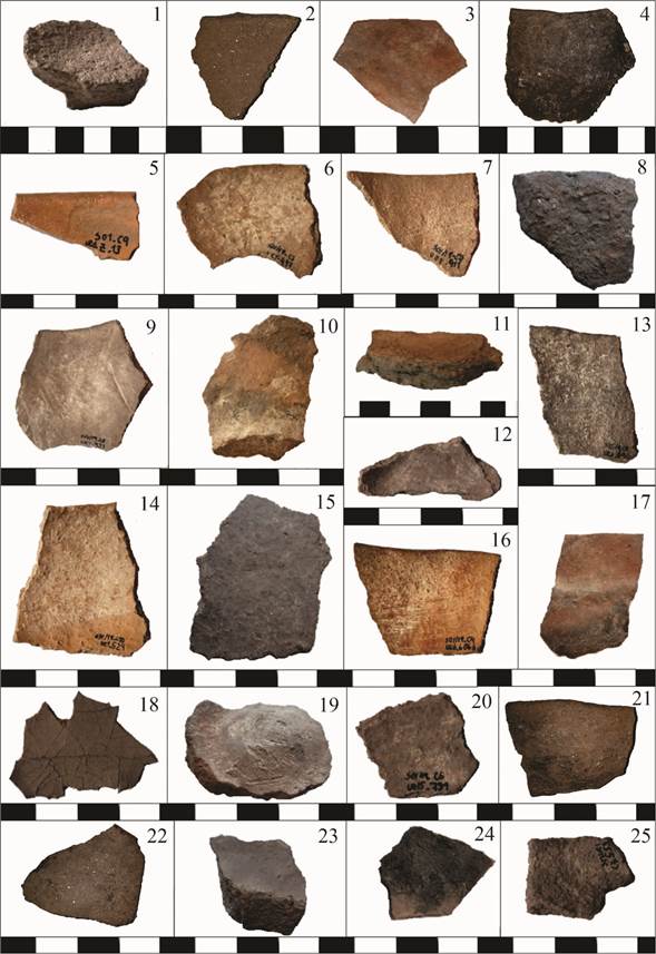 Fragmentos cer�micos analizados. 1. Base sin numeraci�n, cara interna. 2. SO1-19. UE1. C4. N� 17, cara interna. 3. SO1-19.UE1.C2. N� 865, cara externa. 4. SO1-19. UE1. C9. N� 772, cara externa. 5. S01. C9. UE6. N� Z13, cara interna. 6. S01-19. C3. UE1. N� 447, cara interna. 7. S01-19. C3.UE1. N� 911, cara interna. 8. SO1-19. UE1. C4. N� 537, cara interna. 9. S01-19. C8. UE1. N� 433, cara interna. 10. SO1-19. UE1. C3. N� 298, cara interna. 11. SO1-19. UE1. C3. N� 872, cara interna. 12. SO1-19. UE1. C10. N� 728, cara interna. 13. S01-19. C8. UE6. N� 646, cara interna. 14. S01-19. C10. UE1. N� 524, cara interna. 15. SO1-19. UE1. C6. N� 842, cara externa. 16. S01-19. UE6. N� 606 b, cara interna. 17. SO1-19. UE1. N� 422, cara externa. 18. SO1-19. UE1. C5. N� 581, cara interna. 19. SO1-19. UE1. C10. N� 328, cara interna. 20. SO1-19. UE15. C6. N� 731, cara interna. 21. SO1-19. UE6. C4. N� 145, cara interna. 22. SO1-19. UE1. C10. N� 967, cara interna. 23. SO1-19. UE1. C7. N� 414, cara interna. 24. SO1-19. UE1. C8. N� 353, cara interna. 25. SO1-19. UE1. C7. N� 553, cara interna. Escala: 5 cm.