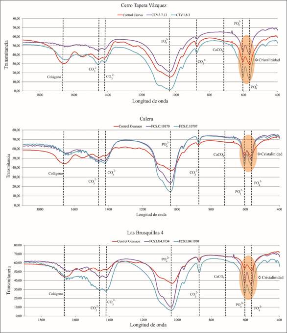 Grfico de FTIR donde se muestran las diferentes bandas analizadas. Referencias: CO32-= carbonato; CaCO3= carbonato de calcio; PO43- = fosfato.