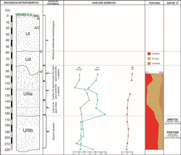 Esquema estratigrfico del sitio LB4. Referencias: CO3-2= carbonato; MO= materia orgnica; d= discordancia; A-AC= suelo.