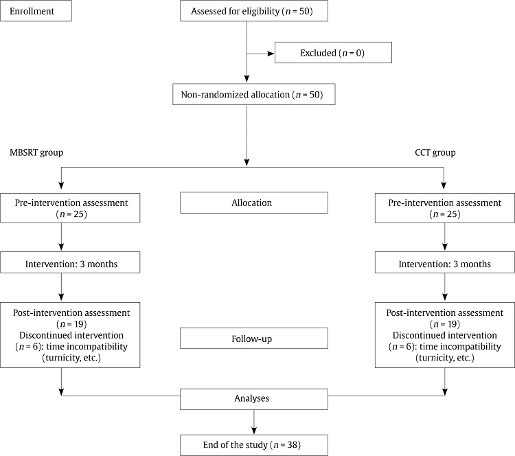 CONSORT Flow Diagram of the Study.