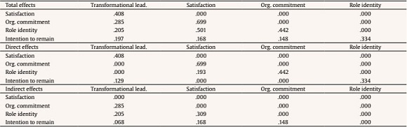 Total, Direct and Indirect Effects of the Model Variables