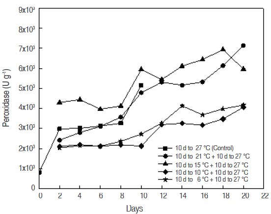 Peroxidase activity sapodilla (A. sapota L.) fruit stored at different temperatures.
