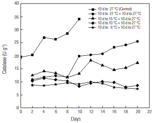 Catalase activity on sapodilla (A. sapota L.) fruit stored at different temperatures.