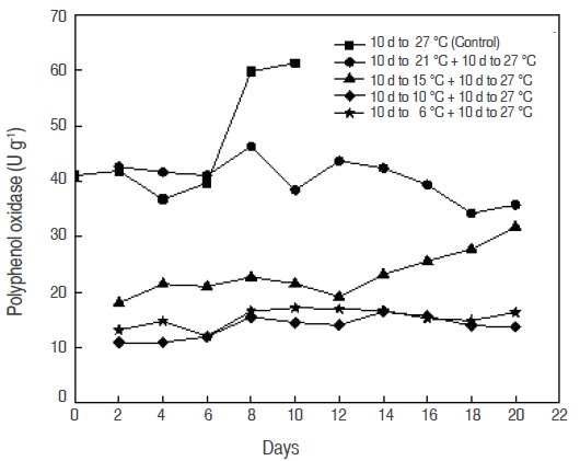 Polyphenol oxidase activity on sapodilla (A. sapota L.) fruit stored at different temperatures.