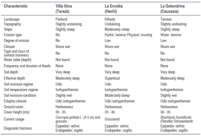 Relief diversity in three rubber planted areas of the lower basin of the Cauca River (Antioquia, Colombia).