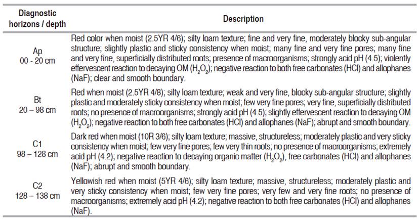 Soil description of Villa Gina rubber plantation (Tarazá).