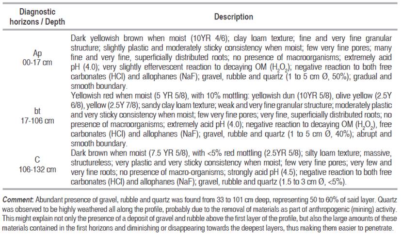 Soil description of La Envidia rubber plantation (Nechí).