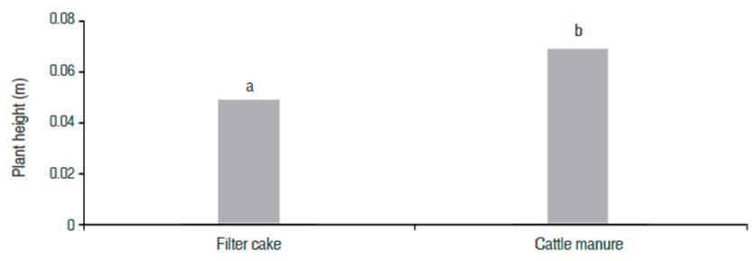 Plant height mean (PlH) of coffee seedlings developed in two substrates (filter cake and cattle manure). 