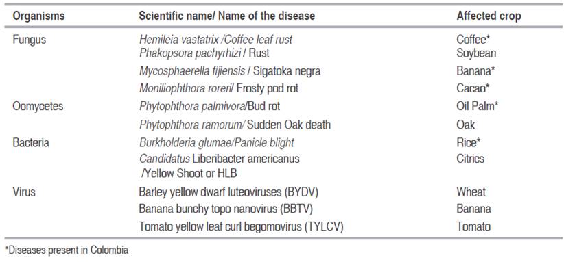 Principal diseases that affect important crops in Latin America.
