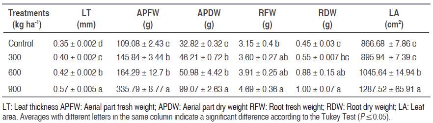 Effect of different doses of magnesium silicate on physiological variables in bean.