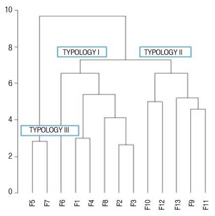 Cluster analysis of coffee growing systems.