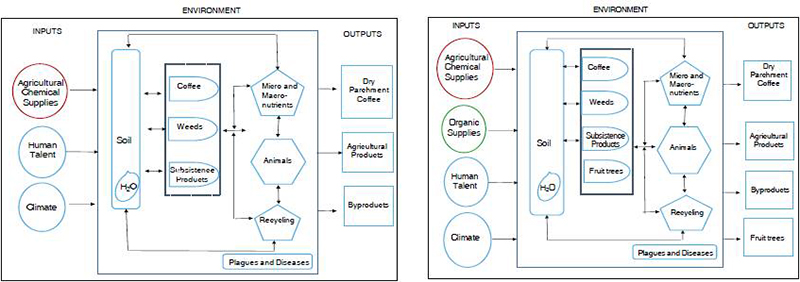 Diagrams on Typology I, II y III systems, respectively.
