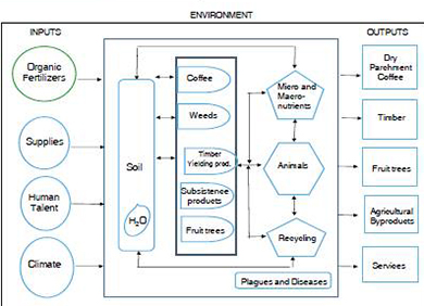 Diagrams on Typology I, II y III systems, respectively. (Continuaci&oacute;n)