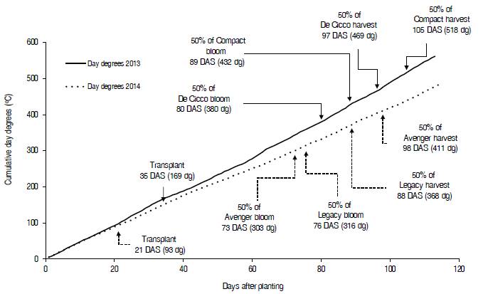 Cumulative day degrees (dg) during the development stages in fertilization experiments. DAS = Days After Sowing. Rionegro, Antioquia, 2013-B and 2014-B.